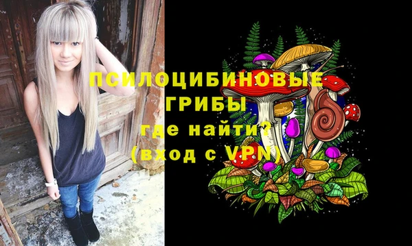 гашик Баксан